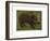 The Boar-Rosa Bonheur-Framed Premium Giclee Print