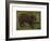 The Boar-Rosa Bonheur-Framed Premium Giclee Print