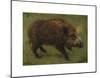 The Boar-Rosa Bonheur-Mounted Premium Giclee Print