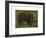 The Boar-Rosa Bonheur-Framed Premium Giclee Print