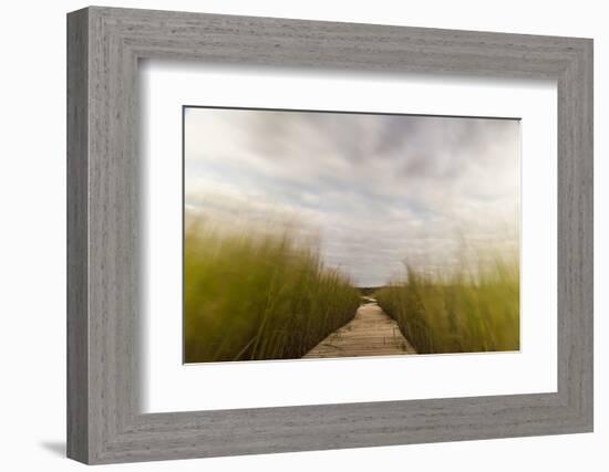 The Boardwalk Through the Tidal Marsh at Mass Audubon's Wellfleet Bay Wildlife Sanctuary-Jerry and Marcy Monkman-Framed Photographic Print