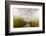 The Boardwalk Through the Tidal Marsh at Mass Audubon's Wellfleet Bay Wildlife Sanctuary-Jerry and Marcy Monkman-Framed Photographic Print