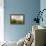 The Boardwalk Through the Tidal Marsh at Mass Audubon's Wellfleet Bay Wildlife Sanctuary-Jerry and Marcy Monkman-Framed Premier Image Canvas displayed on a wall