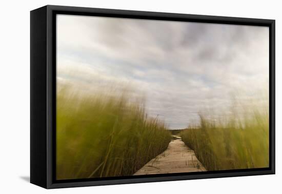 The Boardwalk Through the Tidal Marsh at Mass Audubon's Wellfleet Bay Wildlife Sanctuary-Jerry and Marcy Monkman-Framed Premier Image Canvas