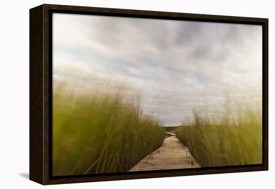 The Boardwalk Through the Tidal Marsh at Mass Audubon's Wellfleet Bay Wildlife Sanctuary-Jerry and Marcy Monkman-Framed Premier Image Canvas