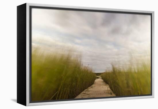 The Boardwalk Through the Tidal Marsh at Mass Audubon's Wellfleet Bay Wildlife Sanctuary-Jerry and Marcy Monkman-Framed Premier Image Canvas