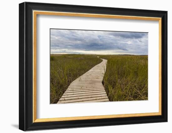 The Boardwalk Through the Tidal Marsh at Mass Audubon's Wellfleet Bay Wildlife Sanctuary-Jerry and Marcy Monkman-Framed Photographic Print
