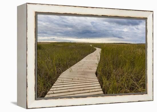 The Boardwalk Through the Tidal Marsh at Mass Audubon's Wellfleet Bay Wildlife Sanctuary-Jerry and Marcy Monkman-Framed Premier Image Canvas