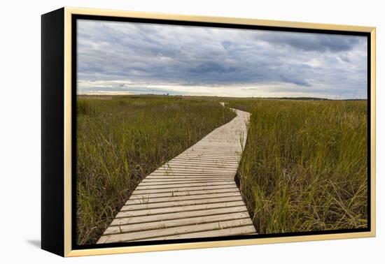 The Boardwalk Through the Tidal Marsh at Mass Audubon's Wellfleet Bay Wildlife Sanctuary-Jerry and Marcy Monkman-Framed Premier Image Canvas