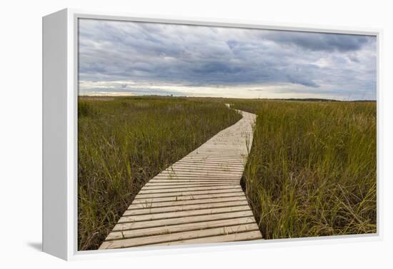 The Boardwalk Through the Tidal Marsh at Mass Audubon's Wellfleet Bay Wildlife Sanctuary-Jerry and Marcy Monkman-Framed Premier Image Canvas