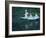 The Boat at Giverny (En Norvégienn)-Claude Monet-Framed Giclee Print