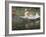 The Boat at Giverny-Claude Monet-Framed Giclee Print