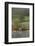 The Boathouse, Ullswater, Lake District National Park, Cumbria, England, United Kingdom, Europe-James Emmerson-Framed Photographic Print