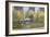 The Boating Lake, Central Park, New York, 1997-Julian Barrow-Framed Giclee Print