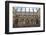 The Bodleian Library, Oxford, Oxfordshire, England, United Kingdom, Europe-Charlie Harding-Framed Photographic Print