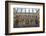 The Bodleian Library, Oxford, Oxfordshire, England, United Kingdom, Europe-Charlie Harding-Framed Photographic Print