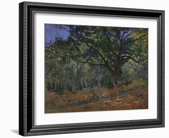 The Bodmer Oak, Fontainebleau Forest, 1865-Claude Monet-Framed Giclee Print