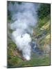 The Bolshoi / Greater Geyser Erupting, Geyser Valley, Kronotsky Zapovednik, Russia-Igor Shpilenok-Mounted Photographic Print