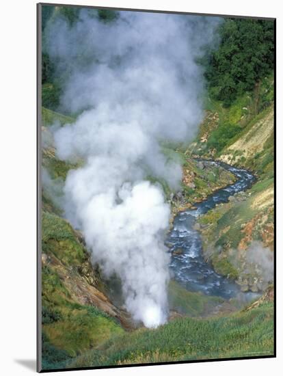 The Bolshoi / Greater Geyser Erupting, Geyser Valley, Kronotsky Zapovednik, Russia-Igor Shpilenok-Mounted Photographic Print