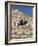 The Bolshoi Theater, Moscow, Russia-Charles Bowman-Framed Photographic Print