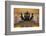 The Bolshoi Theatre-Jon Hicks-Framed Photographic Print