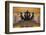 The Bolshoi Theatre-Jon Hicks-Framed Photographic Print