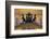 The Bolshoi Theatre-Jon Hicks-Framed Photographic Print