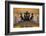 The Bolshoi Theatre-Jon Hicks-Framed Photographic Print