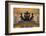 The Bolshoi Theatre-Jon Hicks-Framed Photographic Print