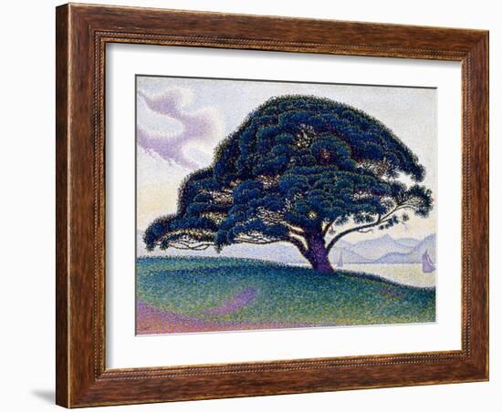 The Bonaventure Pine, 1893 (Oil on Canvas)-Paul Signac-Framed Giclee Print