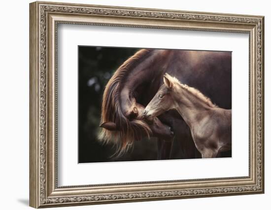 The Bond-Heike Willers-Framed Photographic Print