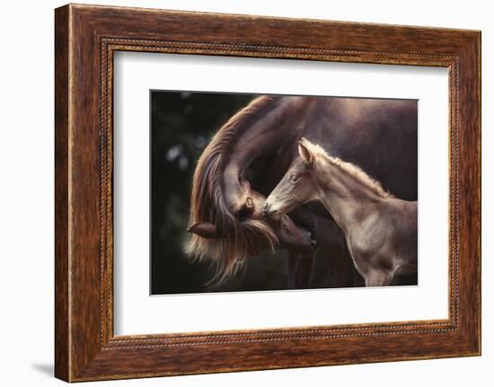 The Bond-Heike Willers-Framed Photographic Print