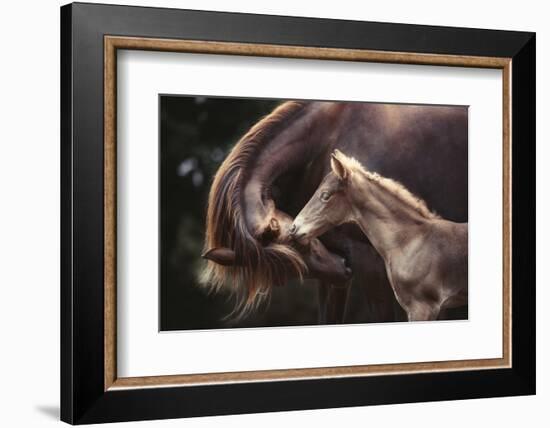 The Bond-Heike Willers-Framed Photographic Print