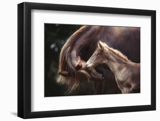 The Bond-Heike Willers-Framed Photographic Print