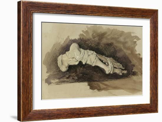 The Bones of a Female Human's Foot (Pencil with W/C and Bodycolour on Paper)-John Ruskin-Framed Giclee Print