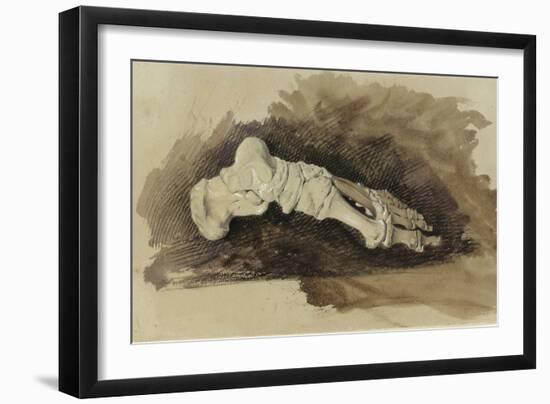 The Bones of a Female Human's Foot (Pencil with W/C and Bodycolour on Paper)-John Ruskin-Framed Giclee Print