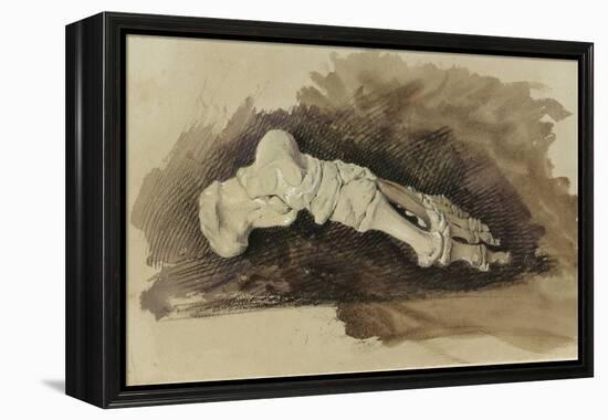 The Bones of a Female Human's Foot (Pencil with W/C and Bodycolour on Paper)-John Ruskin-Framed Premier Image Canvas