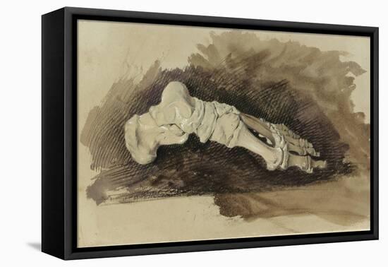 The Bones of a Female Human's Foot (Pencil with W/C and Bodycolour on Paper)-John Ruskin-Framed Premier Image Canvas