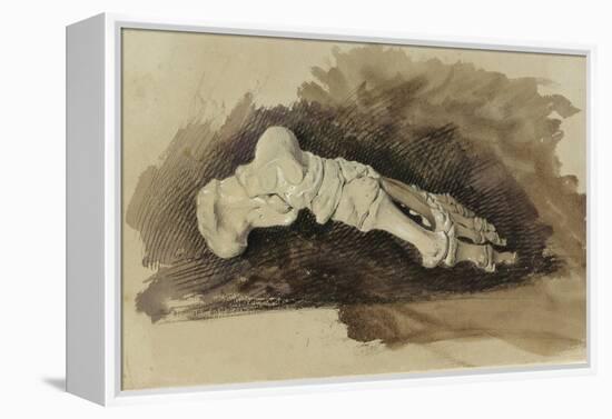 The Bones of a Female Human's Foot (Pencil with W/C and Bodycolour on Paper)-John Ruskin-Framed Premier Image Canvas