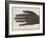 The Bones of a Hand Photographed Through the Flesh by Means of the New Process-null-Framed Giclee Print