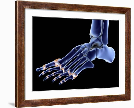 The Bones of the Foot-PASIEKA-Framed Photographic Print