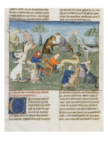 the book of gaston