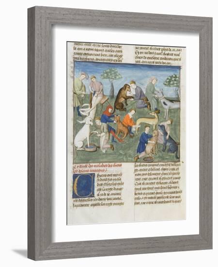 The Book of Gaston Phoebus Hunting in Care for Dogs-null-Framed Giclee Print