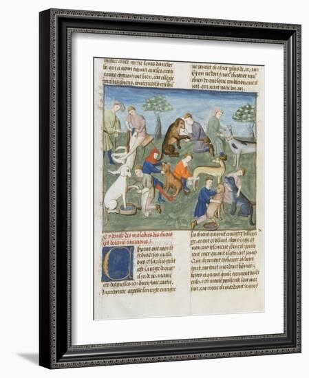 The Book of Gaston Phoebus Hunting in Care for Dogs-null-Framed Giclee Print