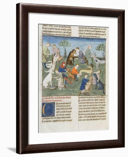 The Book of Gaston Phoebus Hunting in Care for Dogs-null-Framed Giclee Print