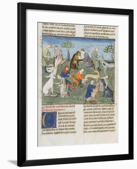 The Book of Gaston Phoebus Hunting in Care for Dogs-null-Framed Giclee Print