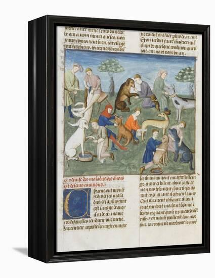 The Book of Gaston Phoebus Hunting in Care for Dogs-null-Framed Premier Image Canvas