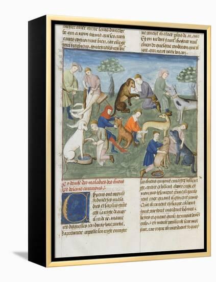 The Book of Gaston Phoebus Hunting in Care for Dogs-null-Framed Premier Image Canvas