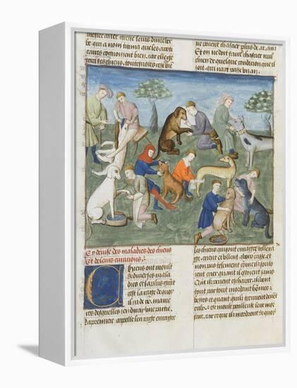 The Book of Gaston Phoebus Hunting in Care for Dogs-null-Framed Premier Image Canvas