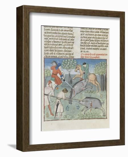 The Book of Gaston Phoebus Hunting: Killing the Boar-null-Framed Giclee Print